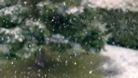 Cinematic-shot-of-snowfall-during-winter-with-a-blurred-background