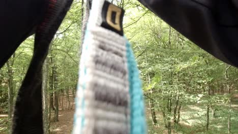 POV-Of-A-Person-Riding-Zipline-In-The-Forest