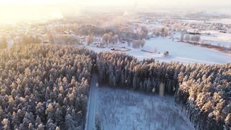 Agriculture-fields-and-forest-landscape-during-snowfall-and-bright-golden-sunset,-aerial-view