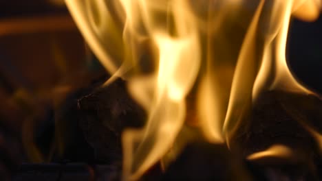 Slow-motion-close-up-video-of-fire-over-woods