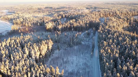 Icy-winter-road-leading-through-frozen-forest-during-snowfall,-aerial-view