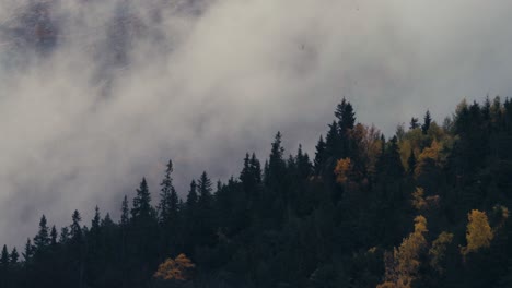 Nubes-Moviéndose-Sobre-Bosques-De-Coníferas-Durante-El-Otoño-En-El-Parque-Nacional-Dovrefjell-sunndalsfjella,-Noruega