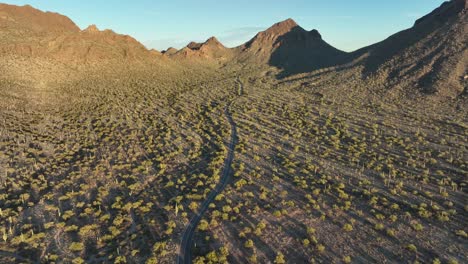 Camino-Y-Paisaje-Desértico-En-Tucson-Arizona---Toma-Aérea-De-Drones