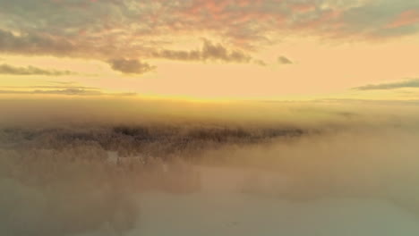 Nebel-über-Nadelwald-Im-Winter-Während-Der-Goldenen-Stunde