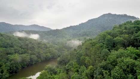 Vista-Aérea-Sobre-El-Río-Y-El-Denso-Bosque-Tropical-En-Ipoh,-Malasia---Disparo-De-Drones