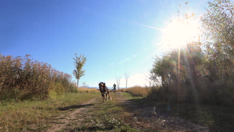 Dog-and-Owner-Running-Down-a-Field-4K