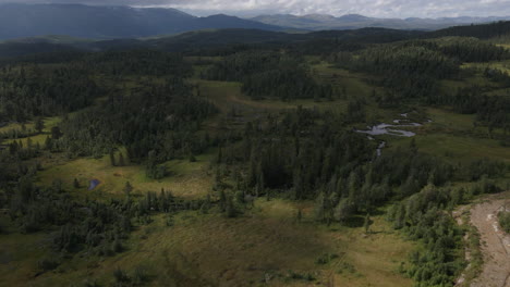 Drone-Captura-La-Tierra-De-Rauland,-Noruega-Cubierta-De-árboles-Verdes-Y-Exuberantes-Con-Nubes-Que-Proyectan-Sombra-Sobre-La-Tierra