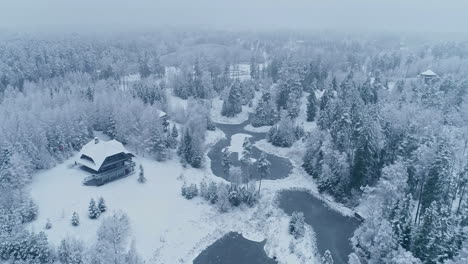 Aerial-drone-shot-of-snow-covered-trees-along-coniferous-forest-along-wooden-cabins-beside-frozen-lake-during-winter-day