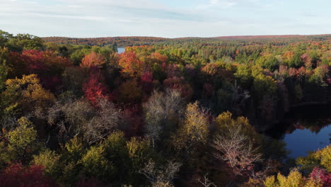 Aerial-Autumn-Forest-by-the-Lake-in-Muskoka-Regions,-tree-tops-changing-colors-in-Ontario---drone-side-dolly