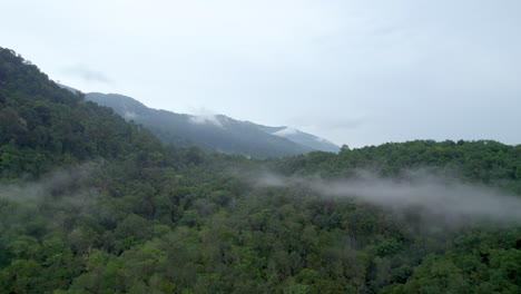 A-drone-shot-of-greenery-forest-scenery-in-Ipoh,-Perak,-Malaysia-covered-with-mist