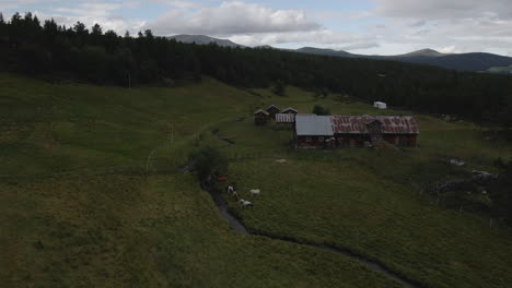 Drohne-Bewegt-Sich-Horizontal-Vorwärts-Und-Erfasst-Die-Wenigen-Kleinen-Hütten-Im-Tal-Von-Norwegen-Mit-Schafen,-Die-Auf-Dem-Feld-Grasen