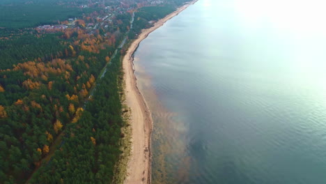 Calm-Waters-Of-Sea-And-Dense-Forest-During-Autumn