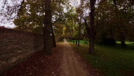 Straight-path-leading-an-alley-through-the-autumn-park