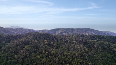 Eine-Drohnenaufnahme-Des-Grünen-Berges-Im-Penang-nationalpark-Tagsüber