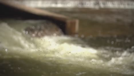 A-slow-motion-of-midge-flies-in-the-air-on-the-background-of-splashing-water-of-a-river