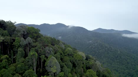 Lush-Green-Forest-And-Jungle-In-Ipoh,-Malaysia---aerial-pullback