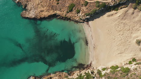 Mar-Turquesa-Y-Playa-De-Arena-Vacía-De-Calamosche-En-El-Oasis-De-Vendicari-En-Sicilia,-Italia