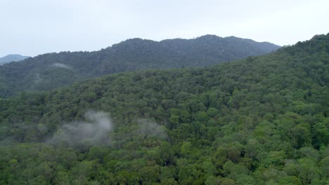 Frondosos-árboles-Verdes-En-Las-Montañas-Cerca-De-La-Ciudad-De-Ipoh-En-Malasia