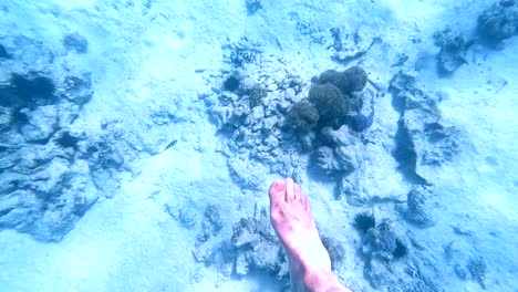 Underwater-fpv-view-of-person's-feet-swimming