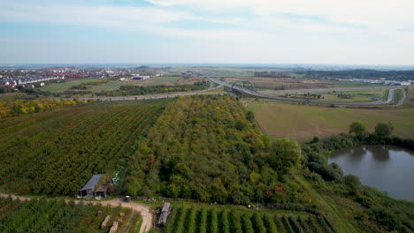 Aerial-flyover-plantation-fields-in-Straszyn-Village-near-Gdansk-and-busy-highway-in-autumn