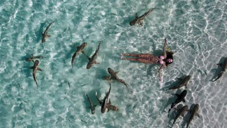 Schooling-Reef-Sharks-swim-in-masses-in-the-shallow-crystal-clear-blue-waters-of-Raja-Ampat-in-Indonesia