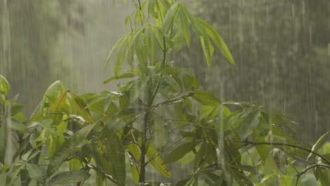 Rain-season-in-Thailand,-slow-pan-right-of-abstract-rainy-background