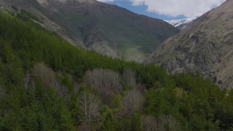 Vuelo-De-Drones-Sobre-El-Bosque-Alpino-Y-La-Cordillera-En-Macedonia