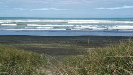 In-Den-Grasbewachsenen-Dünen-Von-Muriwai-Beach-An-Der-Ostküste-Neuseelands