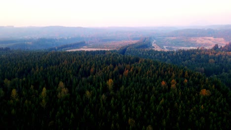 Aerial-shot-of-dense-rain-forest-near-Snoqualmie-Falls-in-Snoqualmie-Washington