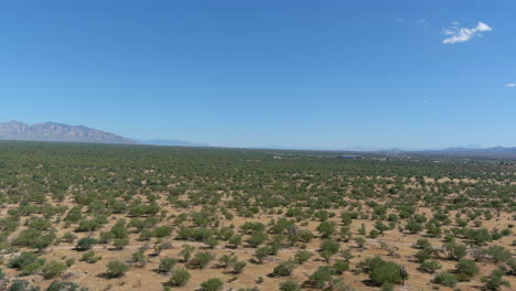 Drone-shot-of-the-Sonoran-desert-with-mountains-in-the-distance-in-Arizona,-slow-moving-aerial-shot