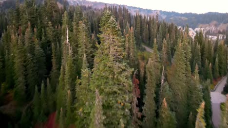 A-drone-shot-of-an-empty-trail-toward-Mt-Rainier-cuts-along-cliff-edge-in-the-morning-time