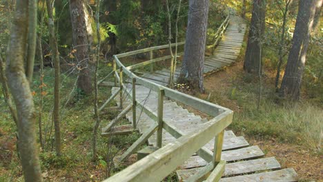 Wooden-trail-in-the-green-nordic-pine-forest-landscape-on-sunny-autumn-day,-steep-stairs-going-down-the-hill,-hiking-pathway,-medium-handheld-shot
