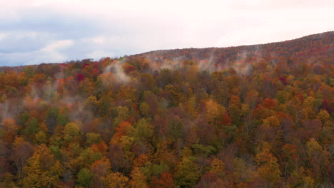 Wunderschöne-Rote-Und-Orangefarbene-Herbstbäume,-Die-Von-Einem-Hochfliegenden-Drohnenschuss-Aus-Gesehen-Werden