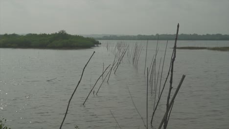 Static-shot-of-lake-in-the-middle-of-an-area-with-trees-and-vegetation-around-it