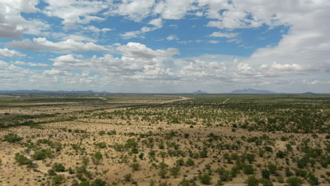 Drohnenaufnahme-Der-Trostlosen-Sonora-Wüste-In-Arizona,-Sich-Langsam-Bewegende-Luftaufnahme