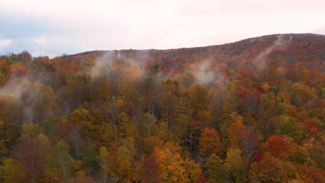 Atemberaubende-Drohnenaufnahme-Mit-Blick-Auf-Die-Waldbäume,-Die-Im-Herbst-Ihre-Farben-ändern