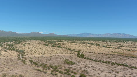 Aerial-shot-of-the-Sonoran-desert-with-mountains-in-the-distance-in-Arizona,-slow-moving-drone-shot
