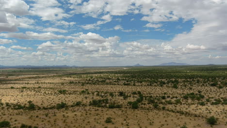 Luftaufnahme-Der-Sonora-Wüste-In-Arizona,-Langsame-Drohnenaufnahme-Mit-Bergen-In-Der-Ferne