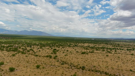 Drohnenaufnahme-Der-Sonora-Wüste-In-Arizona,-Langsame-Luftaufnahme-Mit-Bergen-In-Der-Ferne