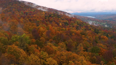 Neigende-Weitwinkelaufnahme-Aus-Der-Luft,-Die-Einen-Wunderschönen-Wald-Inmitten-Des-Herbstlichen-Farbwechsels-Enthüllt