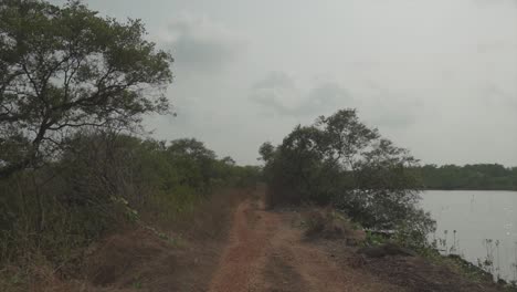 Wide-shot-of-a-dirt-road-near-a-river-and-a-forest-with-trees