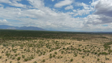 Luftaufnahme-Der-Sonora-Wüste-In-Arizona,-Langsame-Drohnenaufnahme