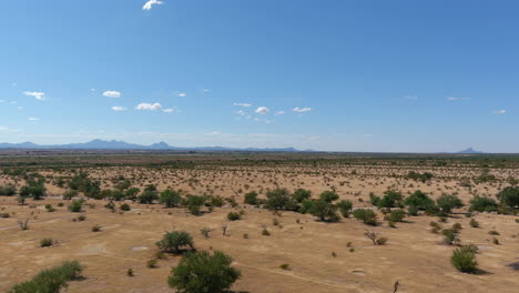 Toma-Aérea-Amplia-Del-Desierto-De-Sonora-En-Arizona,-Toma-De-Drones-En-Movimiento-Lento-Con-Plantas-Y-árboles-Pequeños