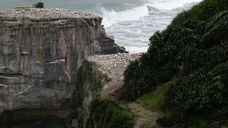 Große-Felsformationen-Mit-Zahlreichen-Vögeln-Auf-Der-Spitze-Und-Dem-Pazifischen-Ozean-Im-Hintergrund