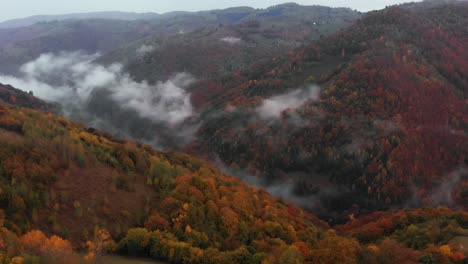 Aerial-tilt-down-of-a-hill-valley-with-fall-colored-forest-on-a-foggy-morning