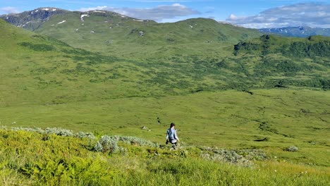 Woman-and-her-dog-walking-downhill-in-lush-green-open-valley-at-Myrkdalen-Voss-Norway---Above-Aarmot-with-summer-mountain-background---Static-handheld