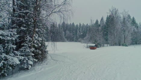Schneefall-In-Einem-Gefrorenen-Wald-Mit-Modularem-Kabinenraum-Auf-Freiem-Feld