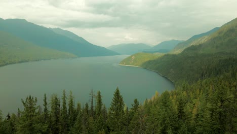 Slow-aerial-dolly-through-a-dense-forest-revealing-the-stunning-Slocan-Lake
