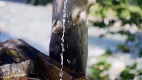 Fountain-water-flowing-out-of-wooden-log-hollow-into-old-trough-in-slow-motion,-tracking-shot