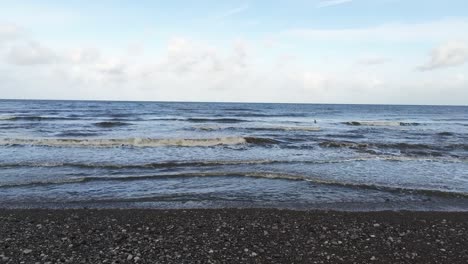 Seagull-soaring-across-seaside-ocean-waves-splashing-on-stony-beach
